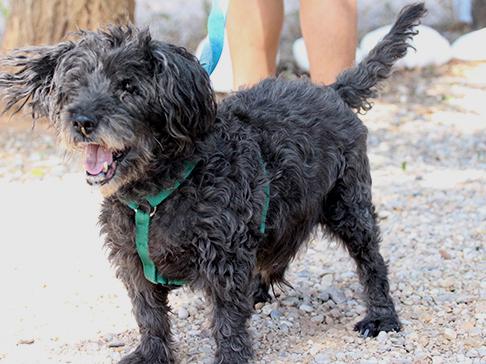 multimedia-foto50229-159-1