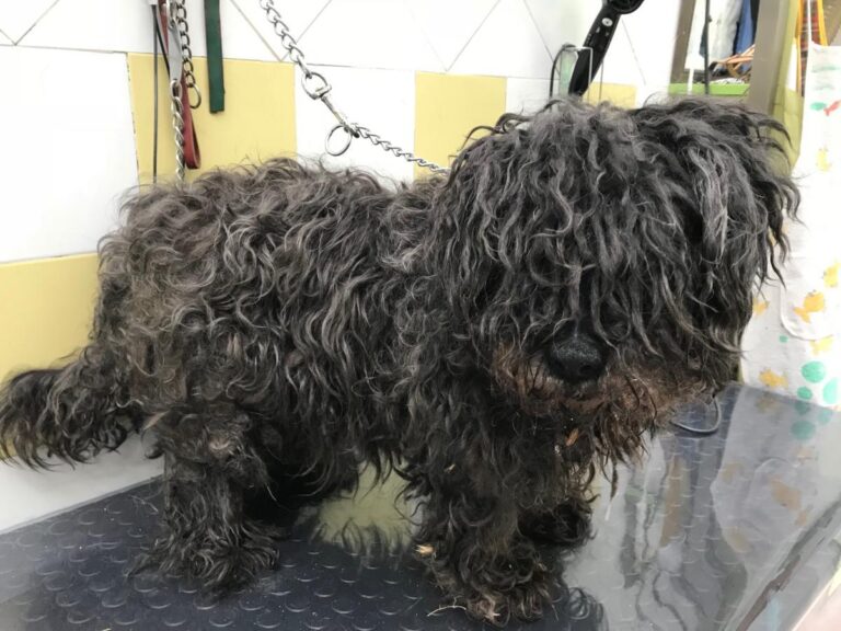 multimedia-foto50230-224-1