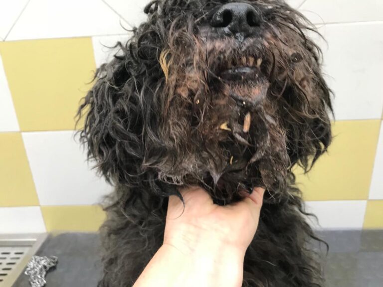 multimedia-foto50231-225-1