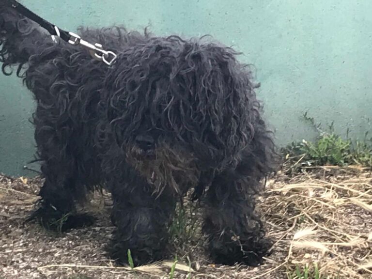 multimedia-foto50232-225-1