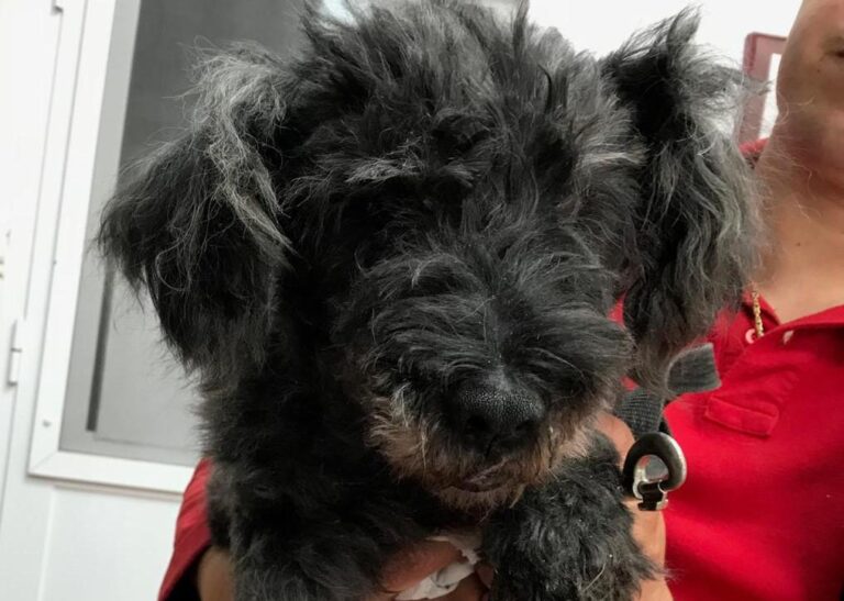 multimedia-foto50233-225-1