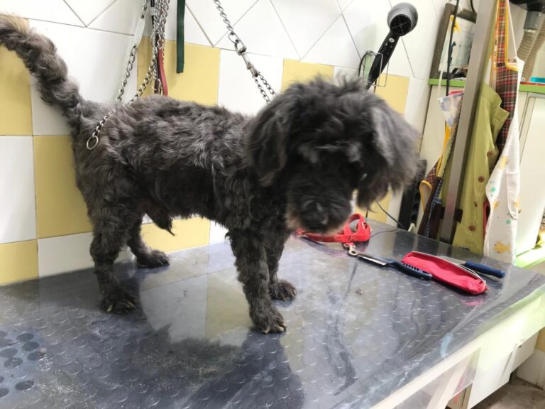 multimedia-foto50235-226-1