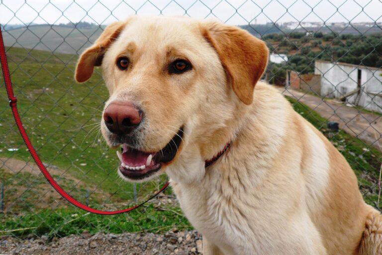 multimedia-foto50238-191-1