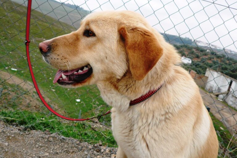 multimedia-foto50239-191-1