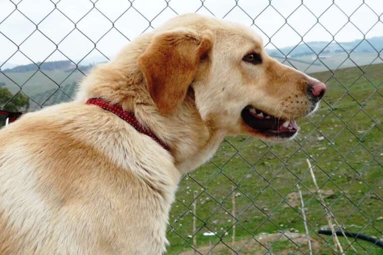 multimedia-foto50240-191-1