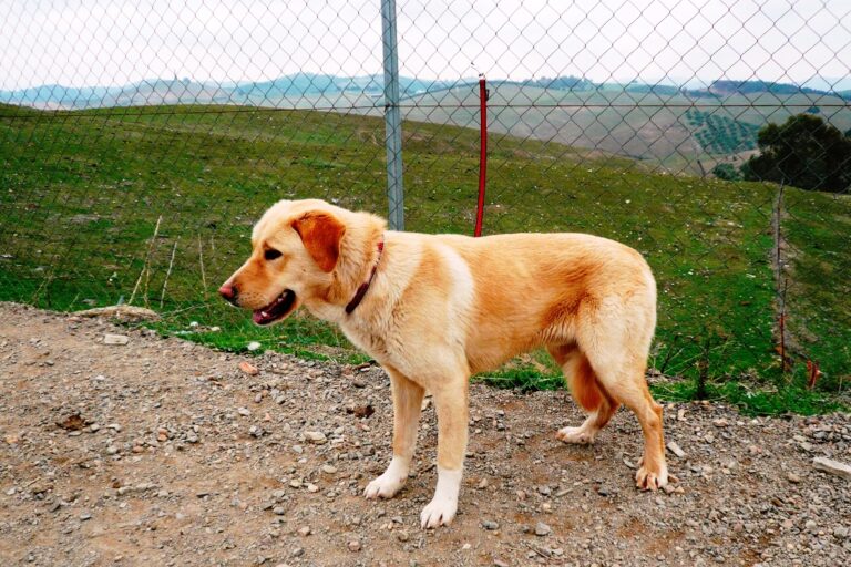 multimedia-foto50241-192-1