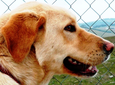 multimedia-foto50244-193-1