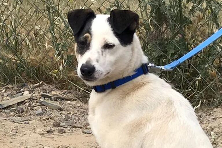 multimedia-foto50278-326-1