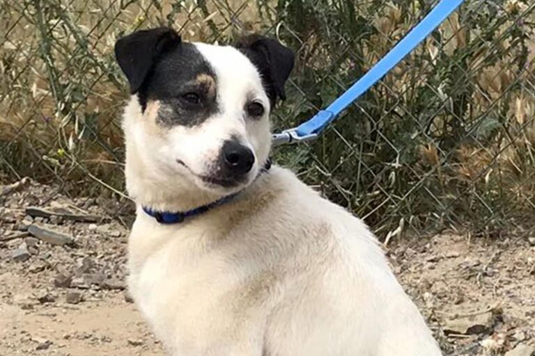 multimedia-foto50279-326-1