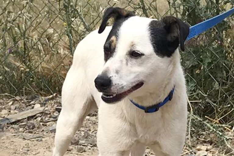 multimedia-foto50280-327-1