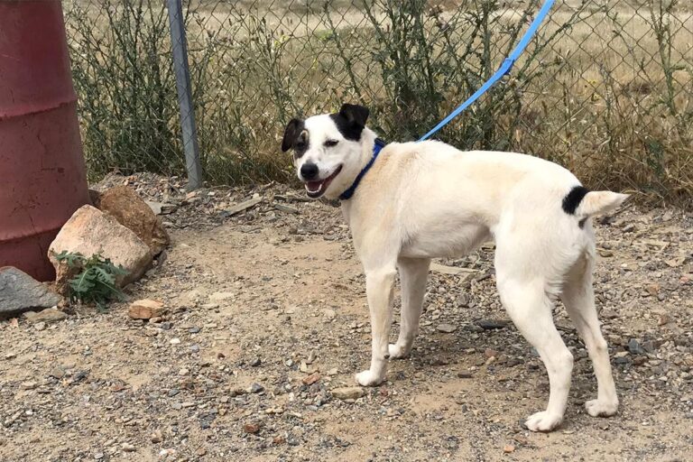 multimedia-foto50281-327-1