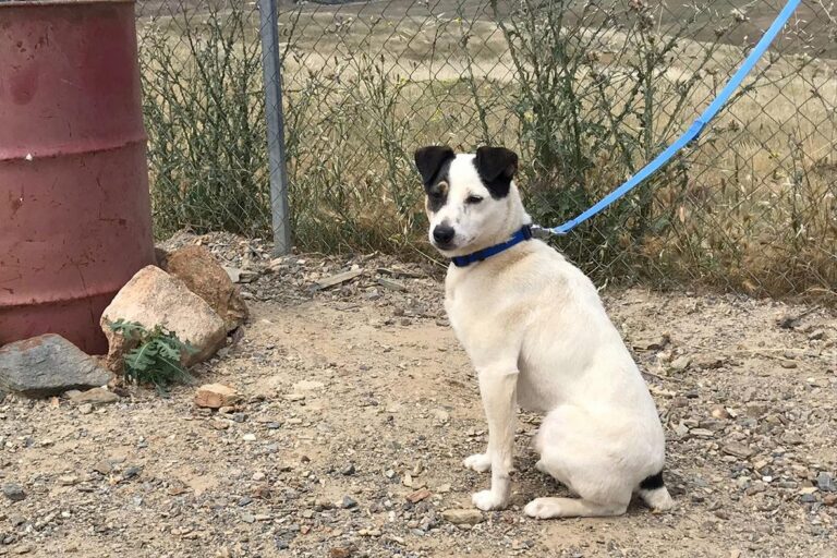 multimedia-foto50282-327-1