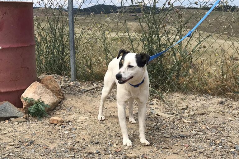 multimedia-foto50283-327-1