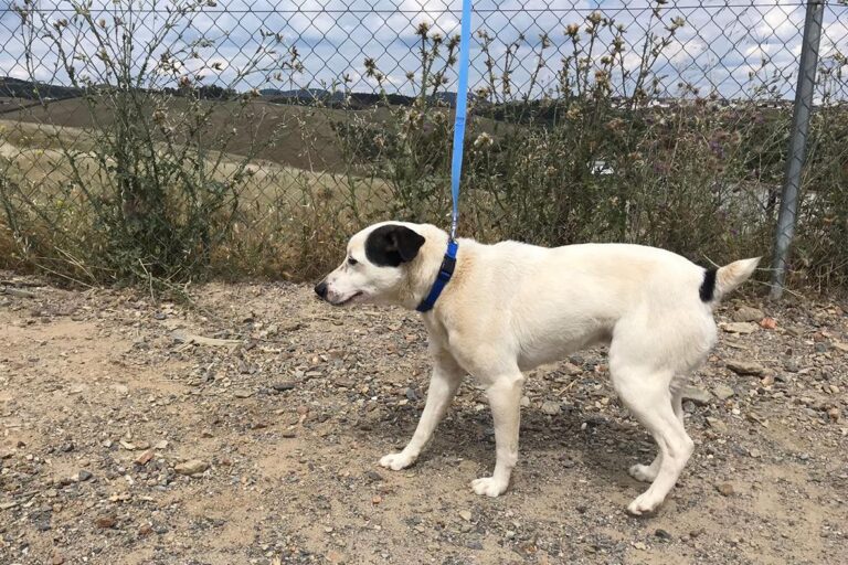 multimedia-foto50284-328-1