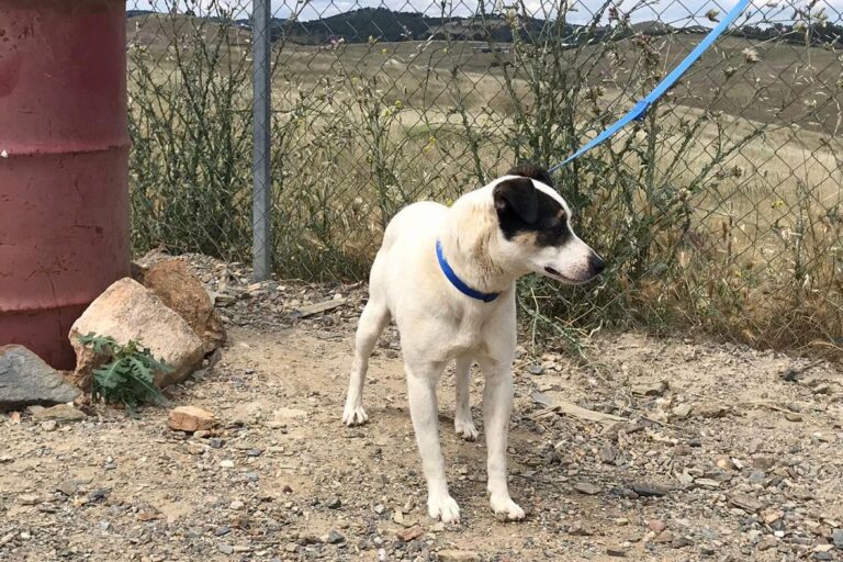 multimedia-foto50285-328-1