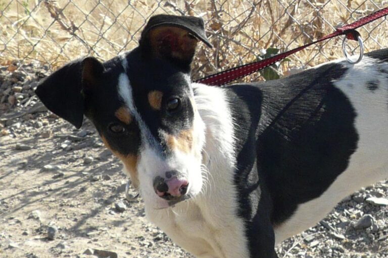 multimedia-foto50303-674-1