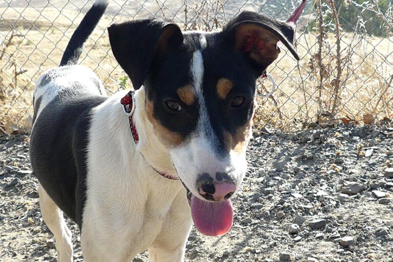 multimedia-foto50304-675-1