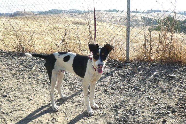 multimedia-foto50305-675-1