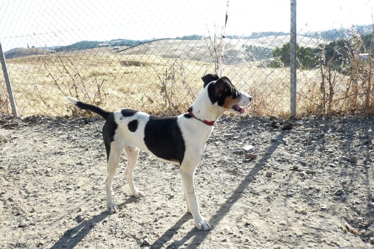 multimedia-foto50306-675-1