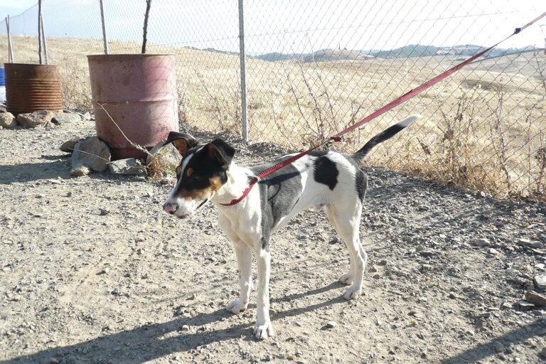 multimedia-foto50307-675-1