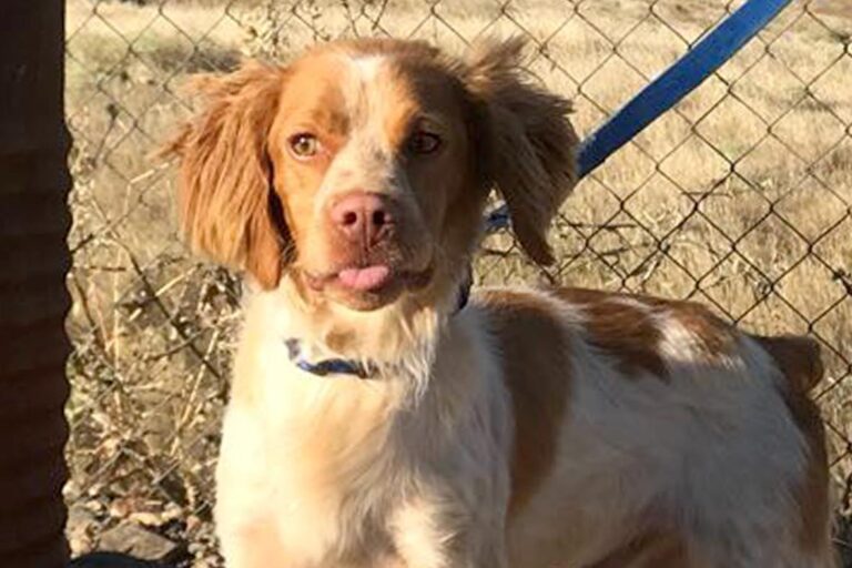 multimedia-foto50323-425-1