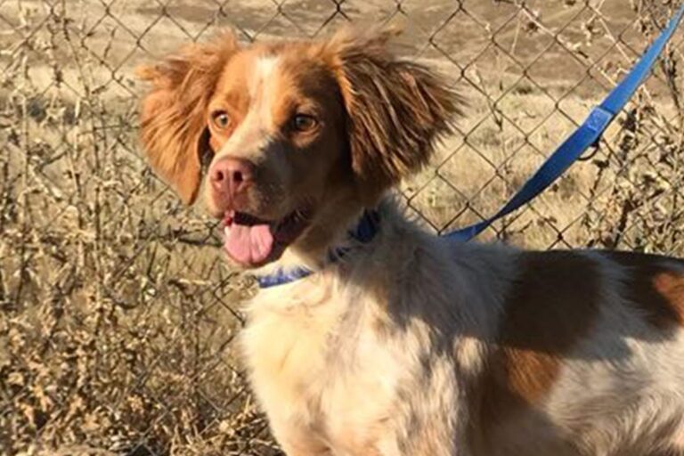 multimedia-foto50324-426-1