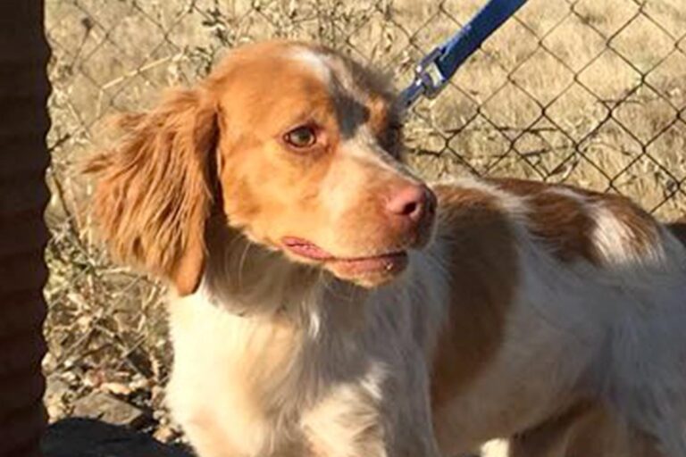 multimedia-foto50325-426-1