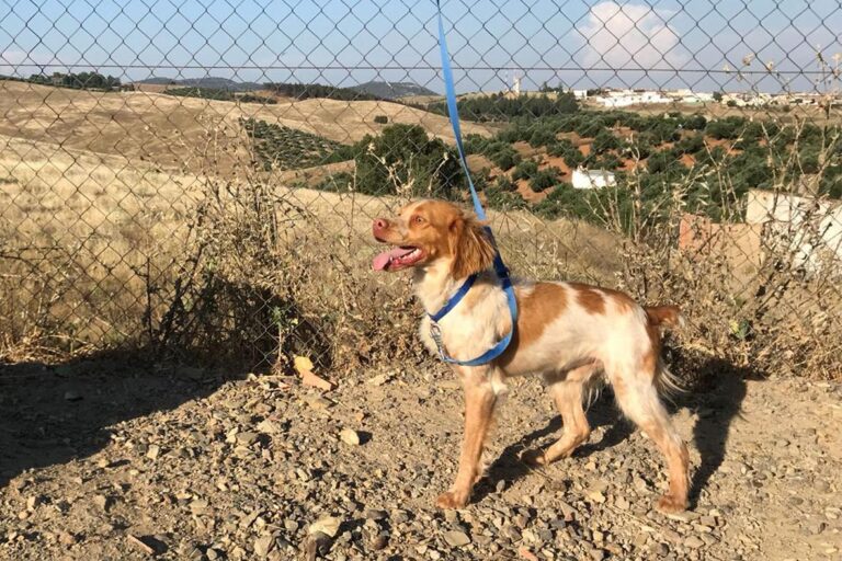 multimedia-foto50326-426-1