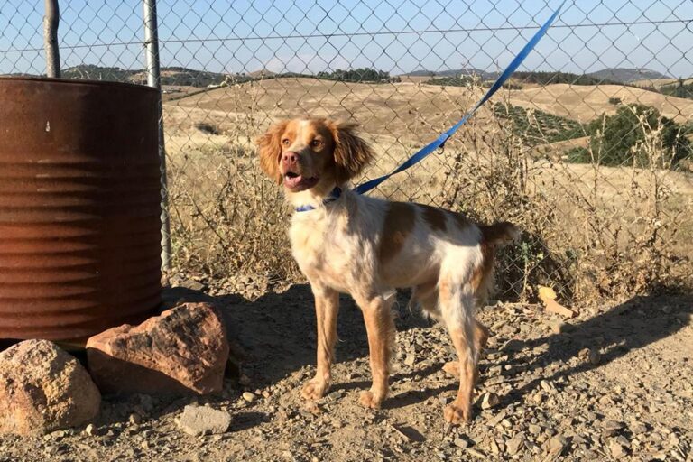 multimedia-foto50327-426-1