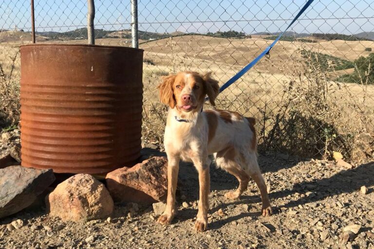 multimedia-foto50328-427-1