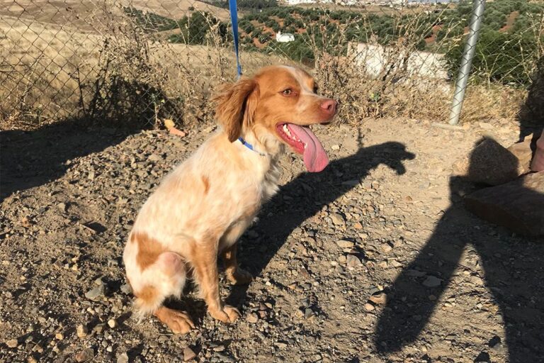 multimedia-foto50329-427-1