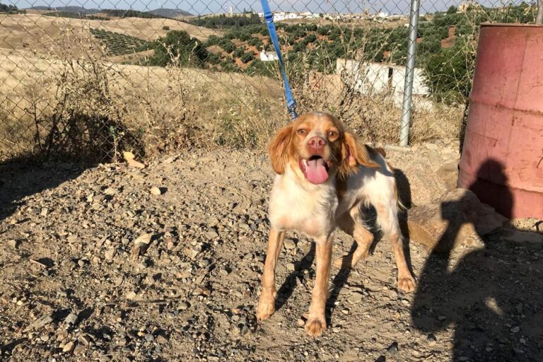 multimedia-foto50330-427-1