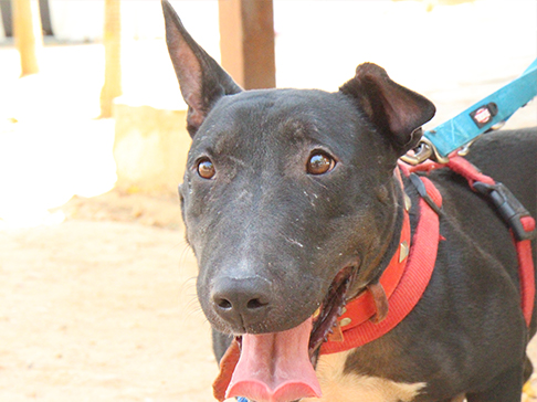 multimedia-foto50373-5-1