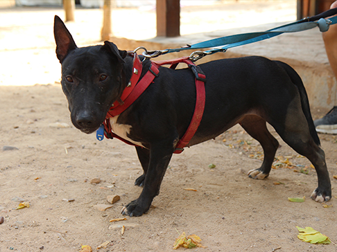 multimedia-foto50374-5-1