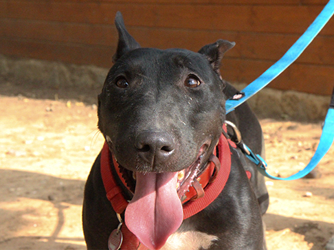 multimedia-foto50375-5-1