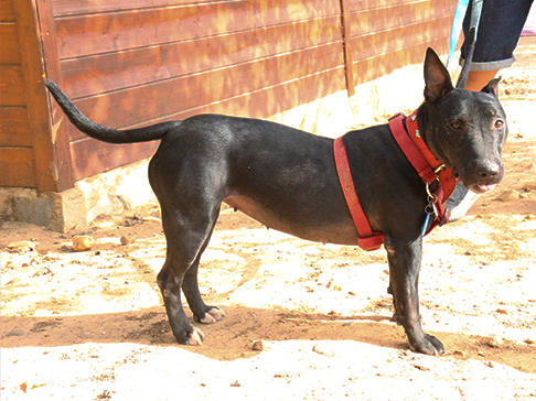 multimedia-foto50376-5-1