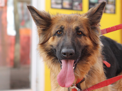 multimedia-foto50377-73-1