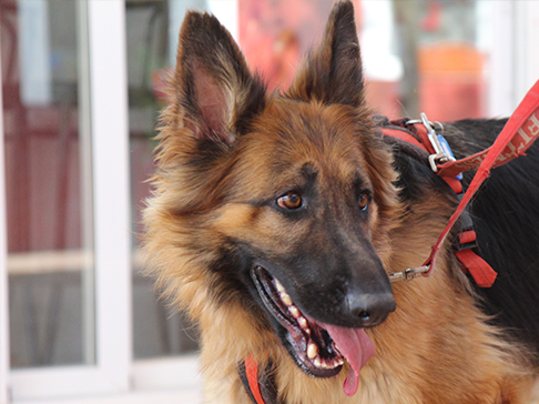 multimedia-foto50378-73-1