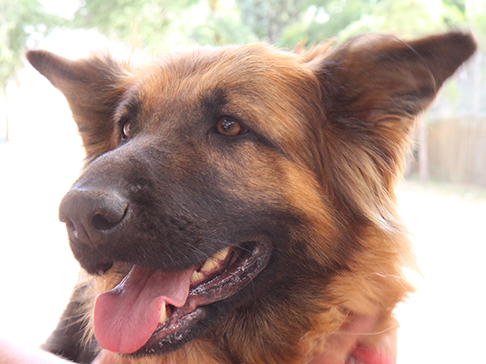 multimedia-foto50379-73-1