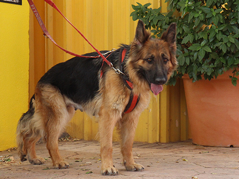 multimedia-foto50380-74-1