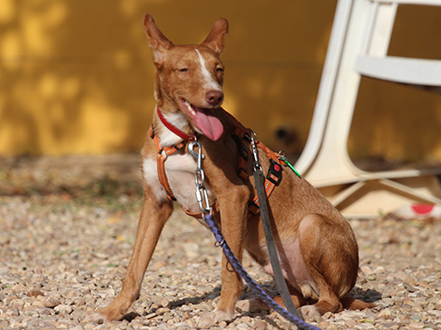 multimedia-foto50381-99-1