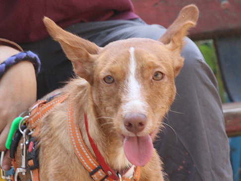 multimedia-foto50382-99-1