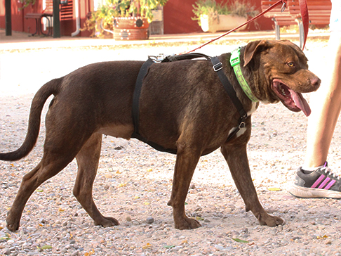 multimedia-foto50386-166-1