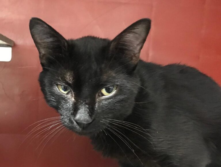 multimedia-foto50387-412-1