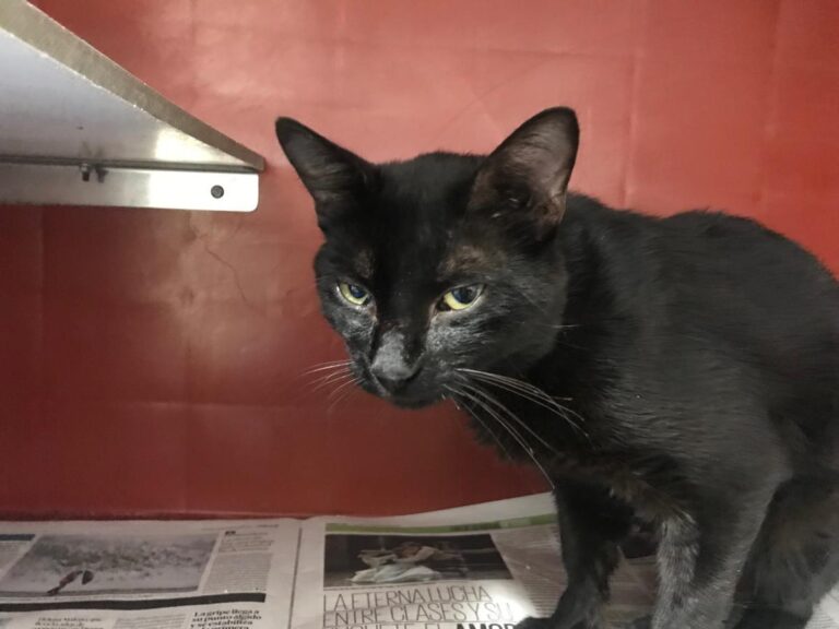 multimedia-foto50388-412-1