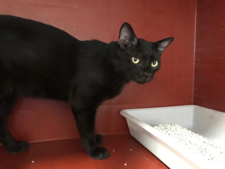 multimedia-foto50389-412-1