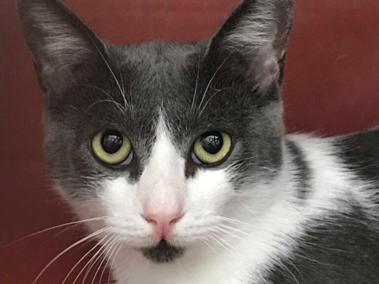 multimedia-foto50446-26-1