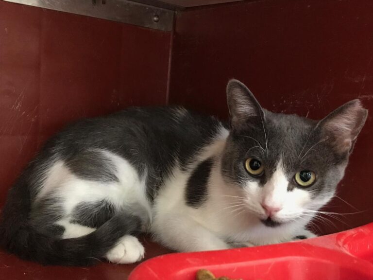 multimedia-foto50450-27-1