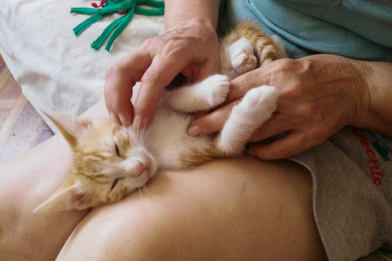 multimedia-foto50487-485-1