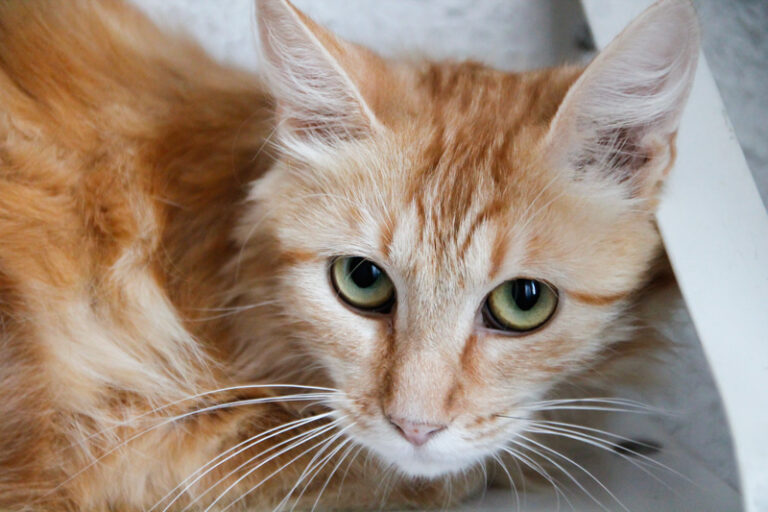 multimedia-foto50491-25-1